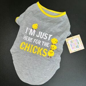 🟢 NWT Easter Dog T-Shirt "I'm Just Here For The Chicks" Gray & Yellow Sz. M